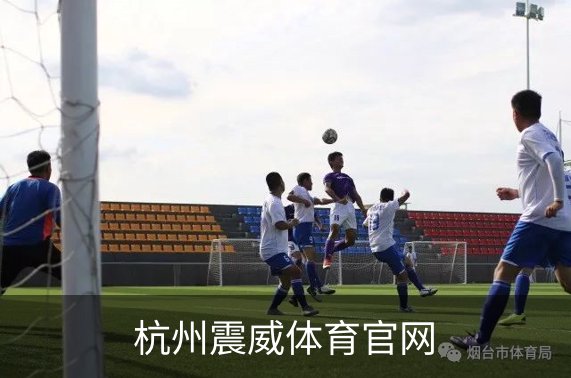 杭州震威体育官网介绍